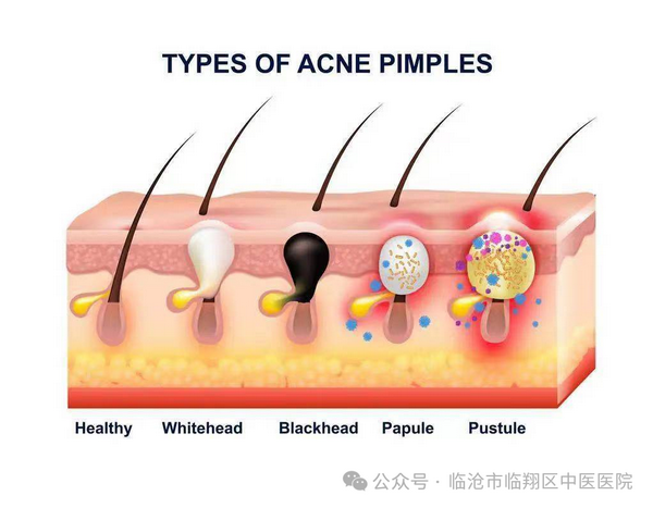 微信图片_20240625122914_调整大小.png