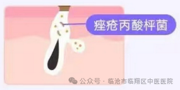 微信图片_20240625122922_调整大小.png